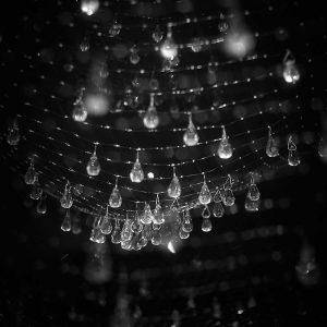 INGO-MAURER-LACRIME-DEL-PESCATORE-ZOOM-STILLUCE-STORE-BERGAMO