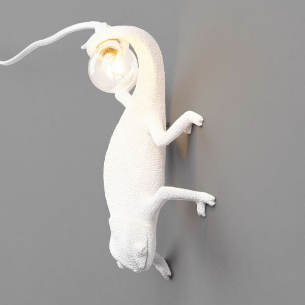 SELETTI--CHAMELEON-LAMP-GOING-DOWN-1-STILLUCE-STORE-BERGAMO