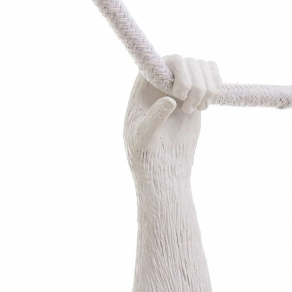 SELETTI-MONKEY-INDOOR-APPESA-PARTICOLARE-STILLUCE-STORE-BERGAMO