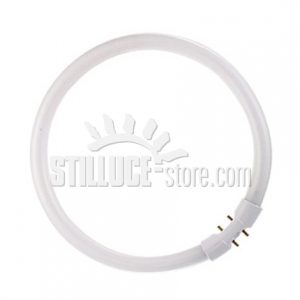 Circolina T5 2GX13 FC 40W - ø 300 mm.