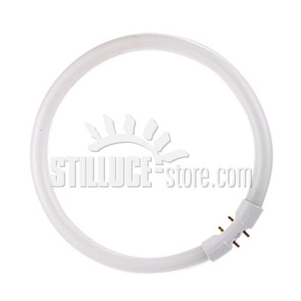 2gx-13-fc-55w-d.300-mm