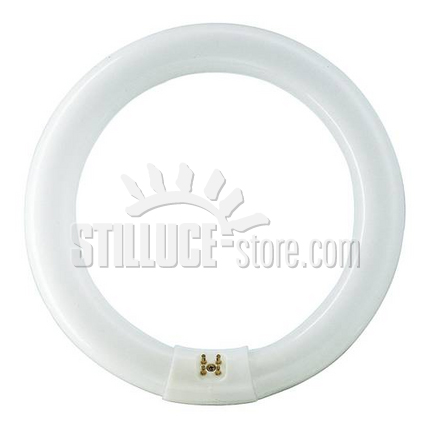 g10q-l32w-29mm-d.305_2