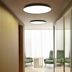 Luceplan Compendium Plate Parete/Soffitto D81P - immagine 1