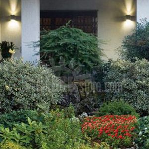 Boluce Amos Mini Bidirez. LED una lente un vetro Cod. 8093 - immagine 3